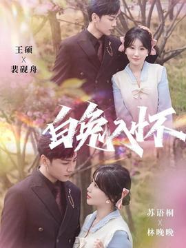电影：白兔入怀