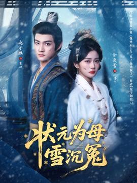 电影：状元为母雪沉冤