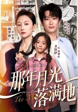 电影：那年月光落满地