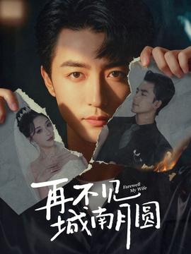 电影：再不见城南月圆