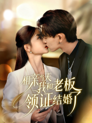 电影：相亲当天我和老板领证结婚了