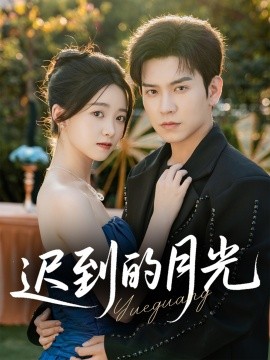 电影：迟到的月光