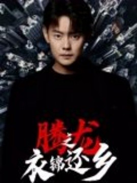 电影：腾龙之衣锦还乡