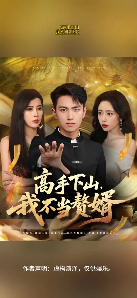 电影：高手下山我不当赘婿