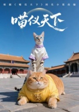电影：喵仪天下