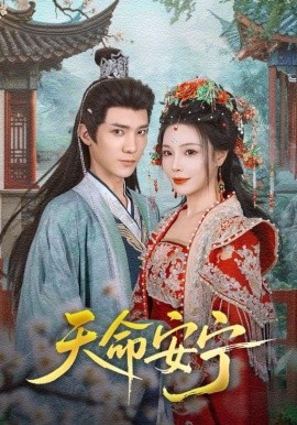 电影：天命安宁