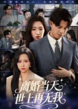电影：离婚当天世上再无我
