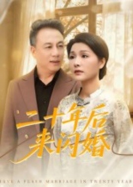 电影：二十年后来闪婚