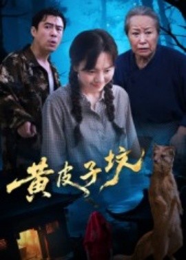 电影：黄皮子坟