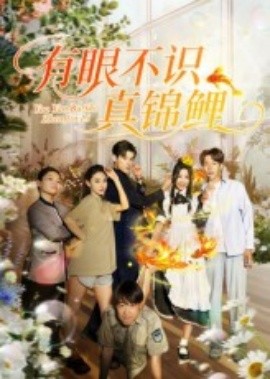 电影：有眼不识真锦鲤