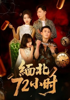 电影：缅北72小时