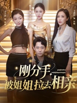 电影：刚分手被姐姐拉去相亲