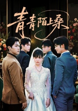 电影：青青陌上桑