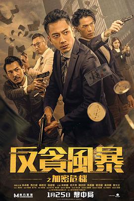 电影:反贪风暴之加密危机粤语