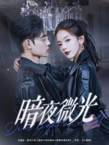 电影：暗夜微光