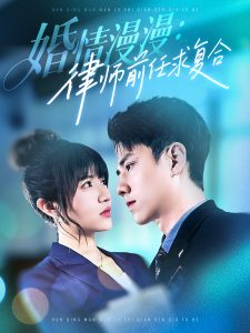 电影：婚情漫漫，律师前任求复合