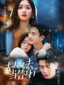 电影：夫人又去当替身了