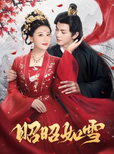 电影：昭昭如雪
