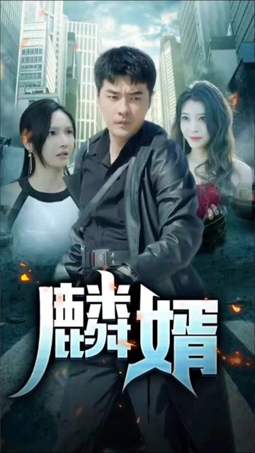 电影：麟婿