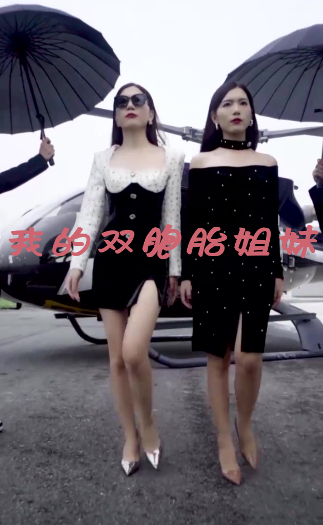 电影：我的双胞胎姐妹