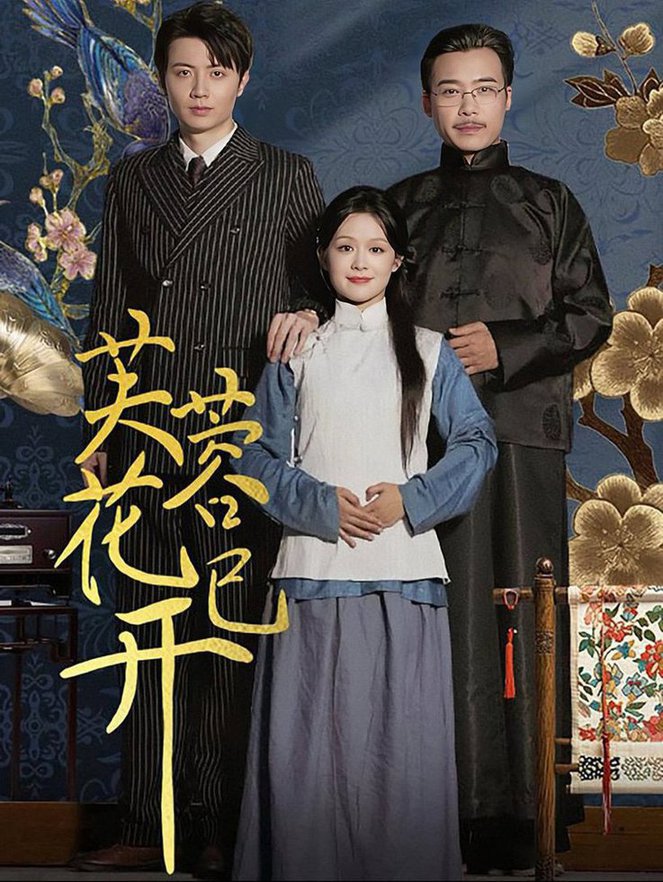 电影：芙蓉花已开