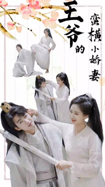 电影：王爷的蛮横小娇妻