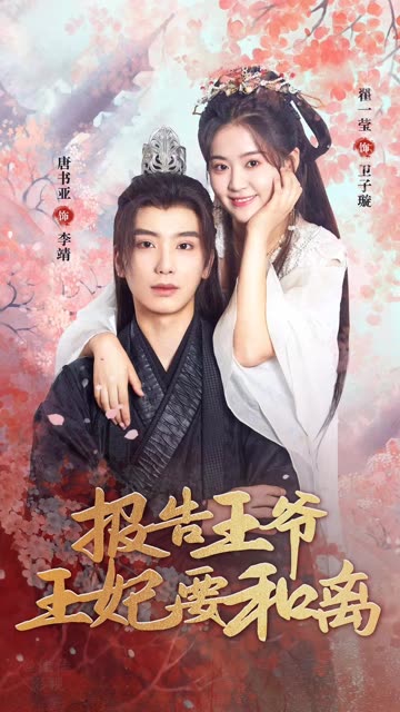 电影：报告王爷，王妃要和离