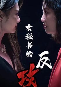 电影：女秘书的反攻