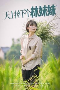 电影：天上掉下个林妹妹短剧