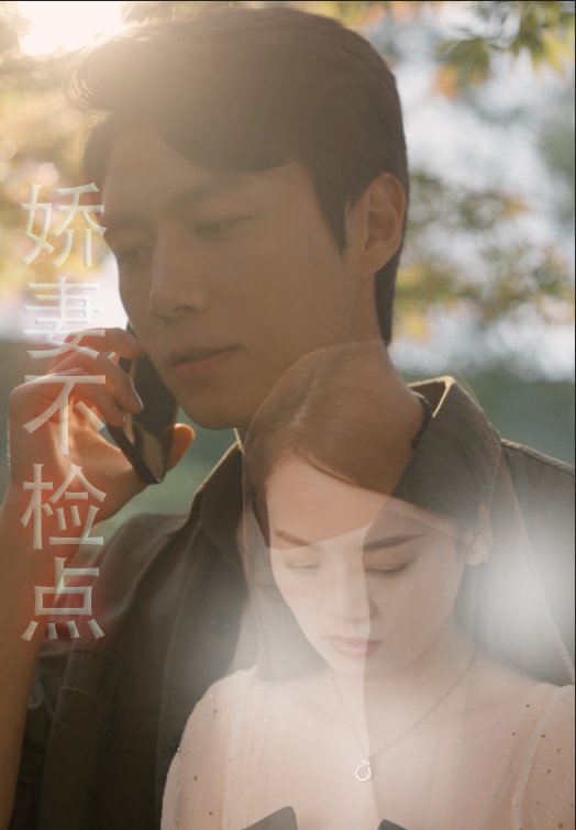 电影：娇妻不检点