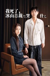 电影：我死了冰山总裁你哭什么