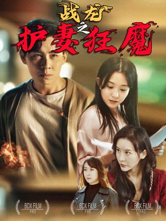 电影：战龙之护妻狂魔