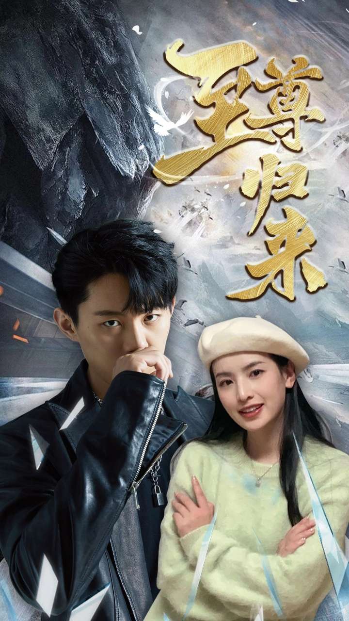 电影：新：至尊归来