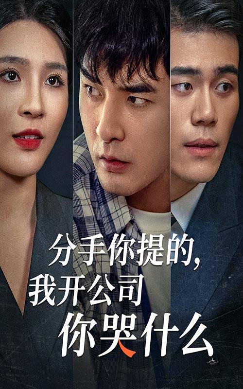 电影：分手你提的，我开公司你哭什么