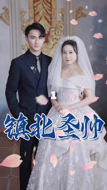 电影：镇北圣帅&镇北神帅