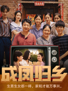 电影：女总裁成凤归乡