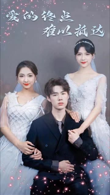 电影：爱的终点难以抵达