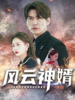 电影：风云神婿