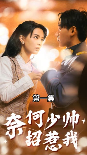 电影：奈何少帅招惹我