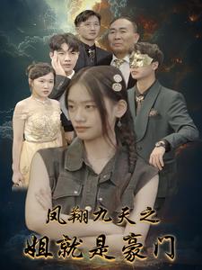 电影：凤翔九天之姐就是豪门