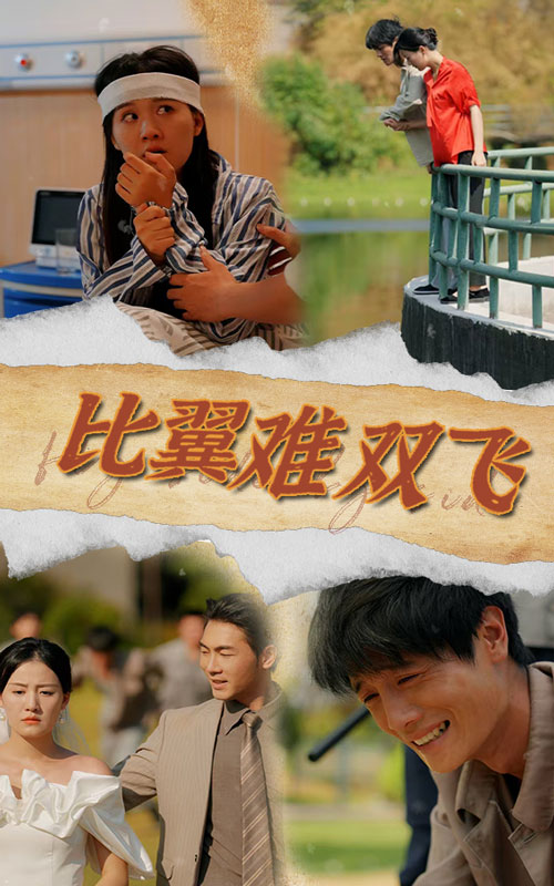 电影：比翼难双飞