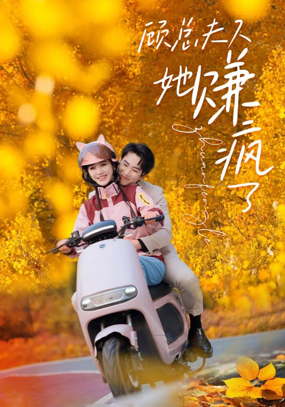 电影：顾夫人她赚疯了