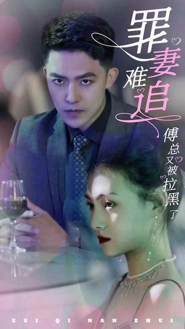 电影：罪妻难追傅总又被拉黑了