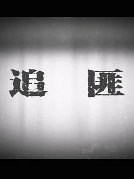 电影:追匪