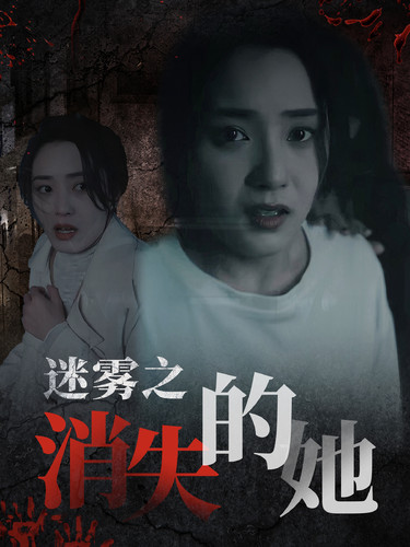 电影：迷雾之消失的她