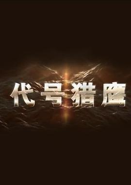 电影：代号猎鹰