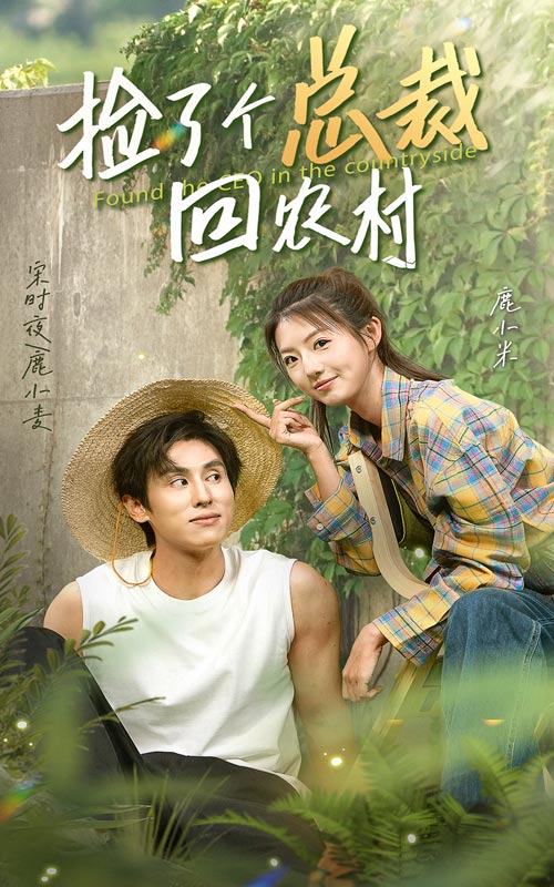 电影：捡了个总裁回农村