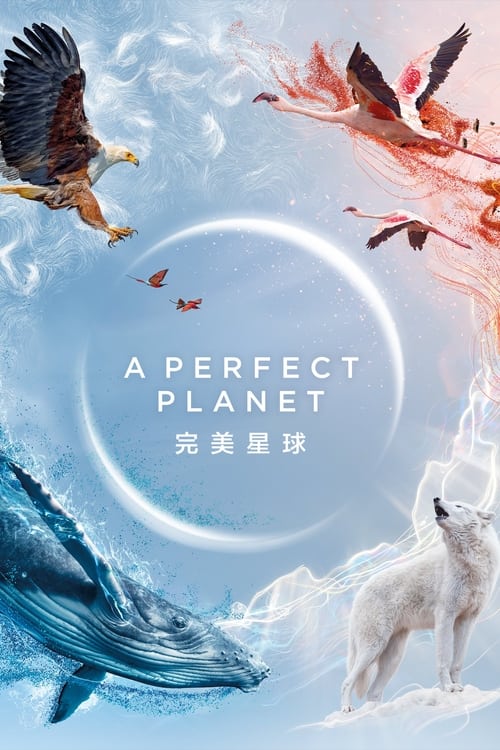 电影：完美星球
