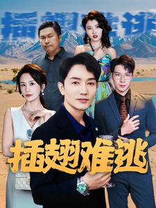 电影：插翅难逃短剧