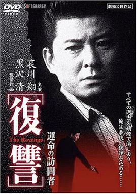 电影：复仇：命运的访问者